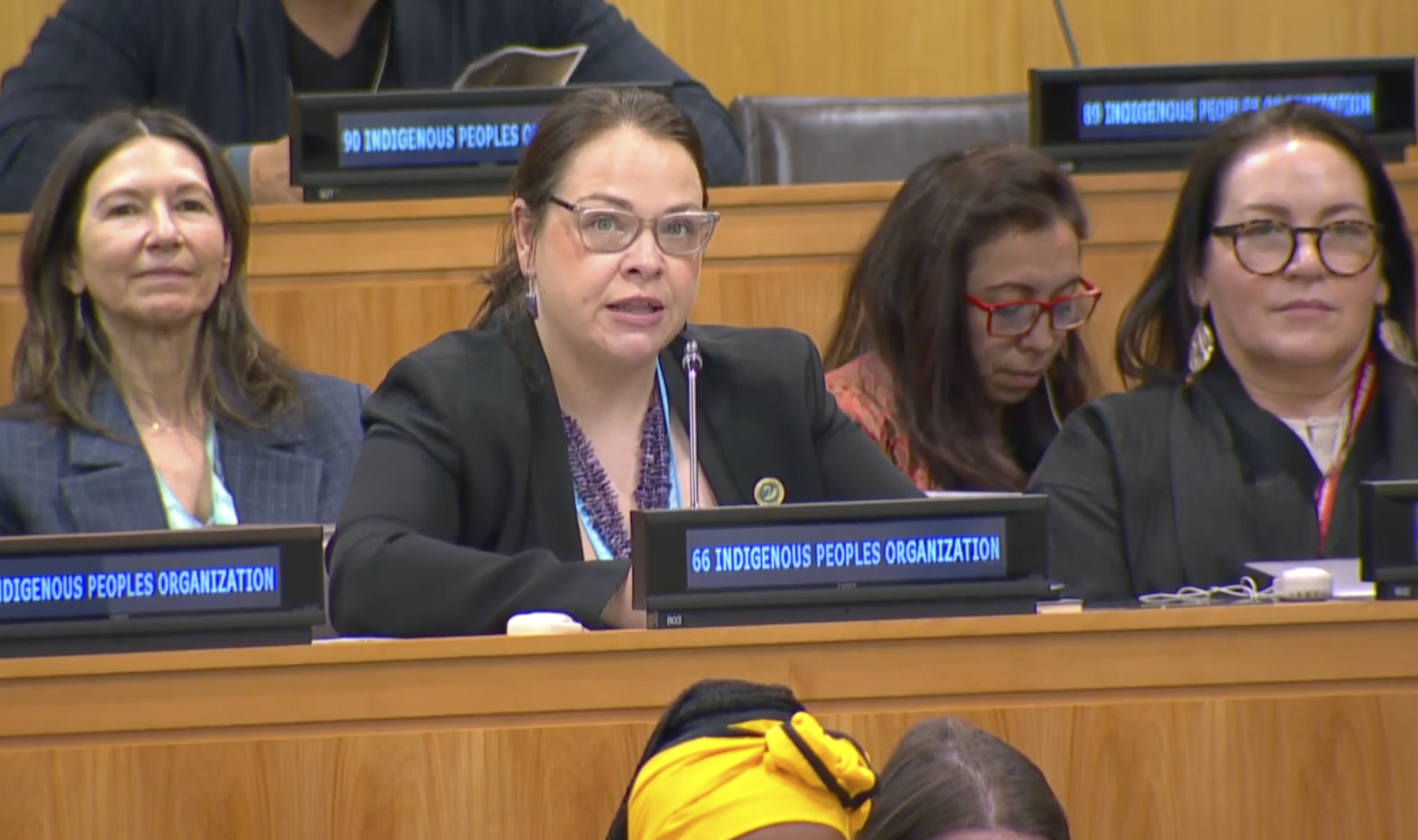Director of Policy, Meghan Bishop, delivers the WIPO Intervention at the UNPFII.