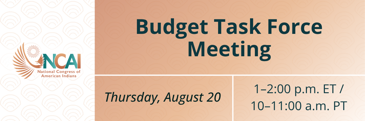 Budget Task Force Meeting