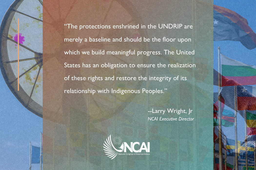 NCAI Applauds Secretary Deb Haaland and the Department of the Interior for Reaffirming U.S. Commitment to UNDRIP