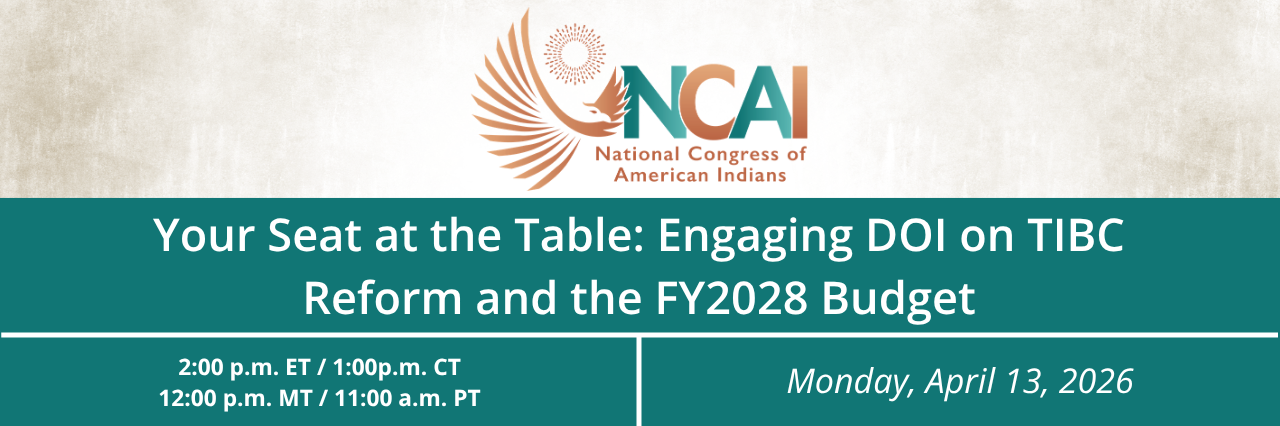 Webinar - Your Seat at the Table: Engaging DOI on TIBC Reform and the FY2028 Budget