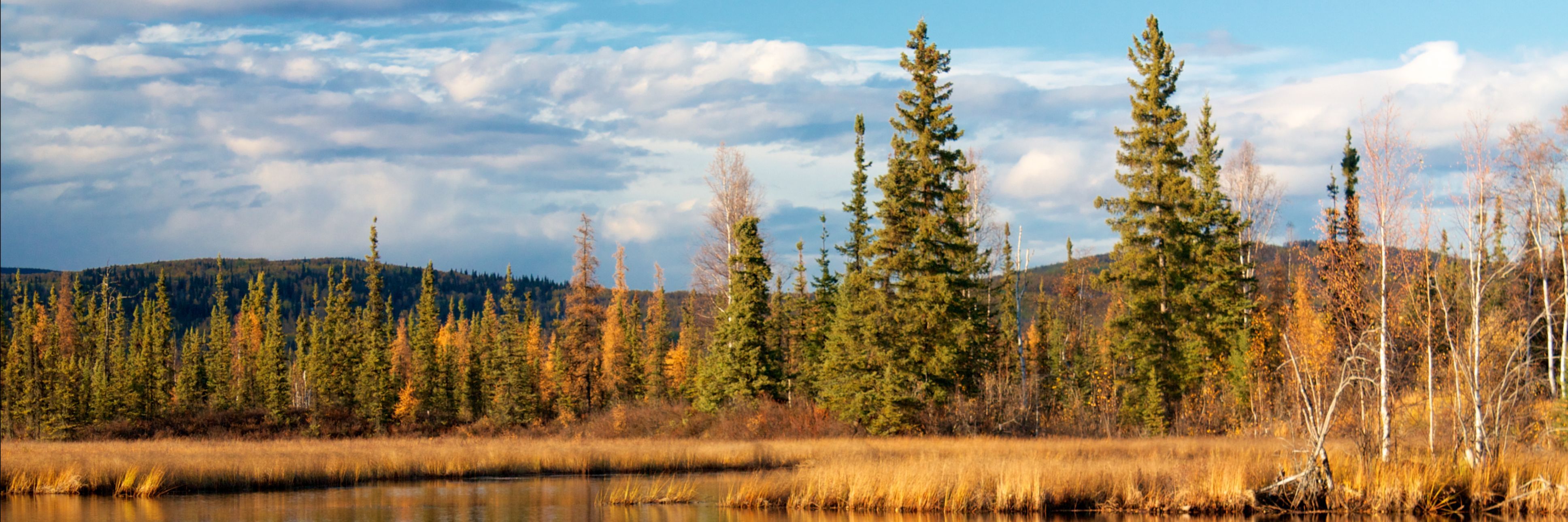 Registration and Call for Proposals Open for the 2026 Seven Generations Intertribal Leadership Summit