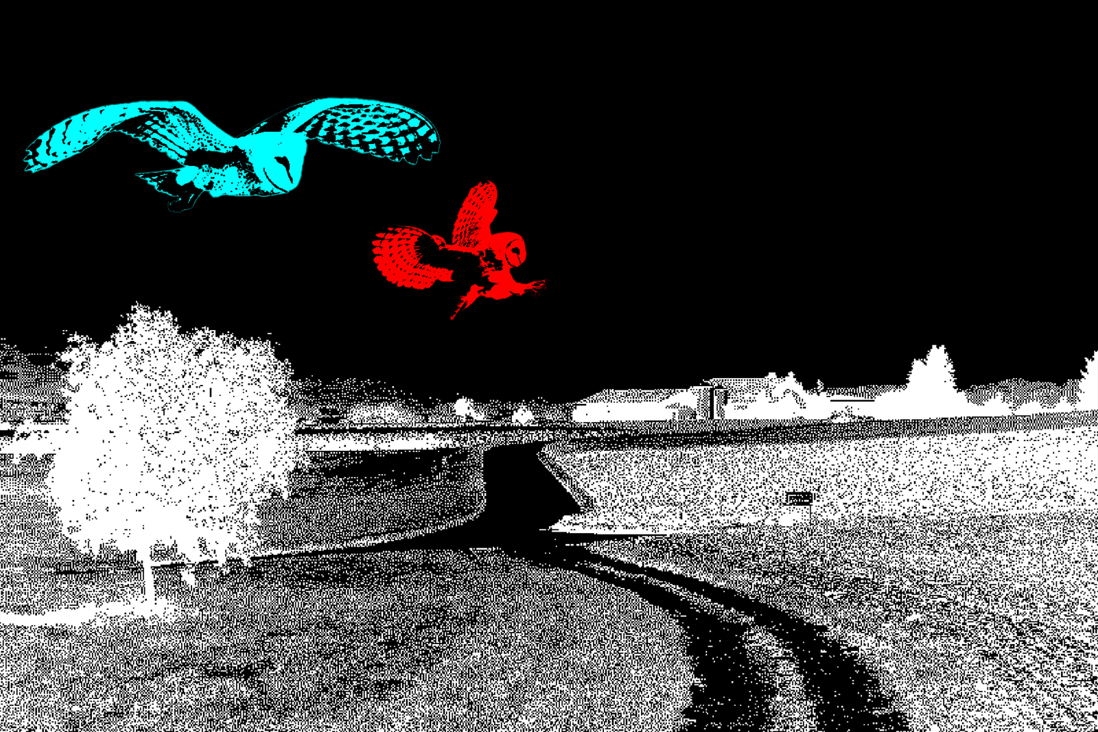 Postcard 06
