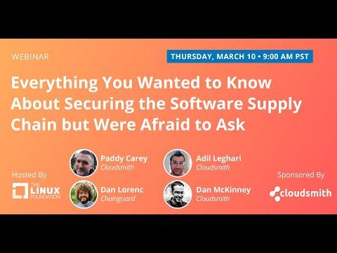 Everything You Wanted to Know About Securing the Software Supply Chain but Were Afraid to Ask