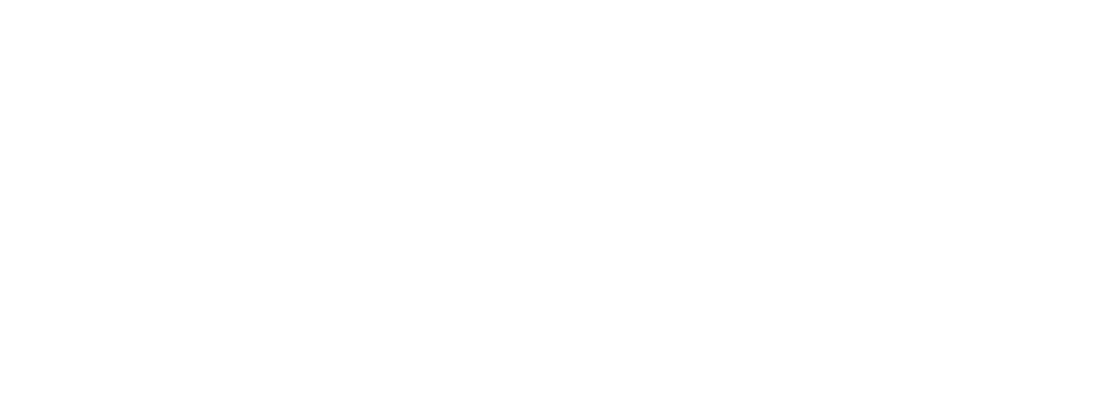 The New England Center for Children logo