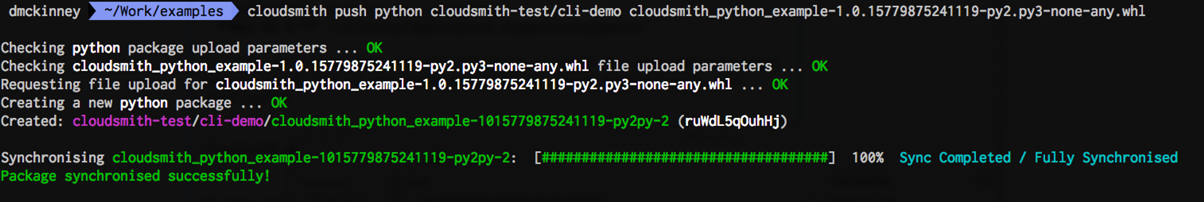 cloudsmith push python
