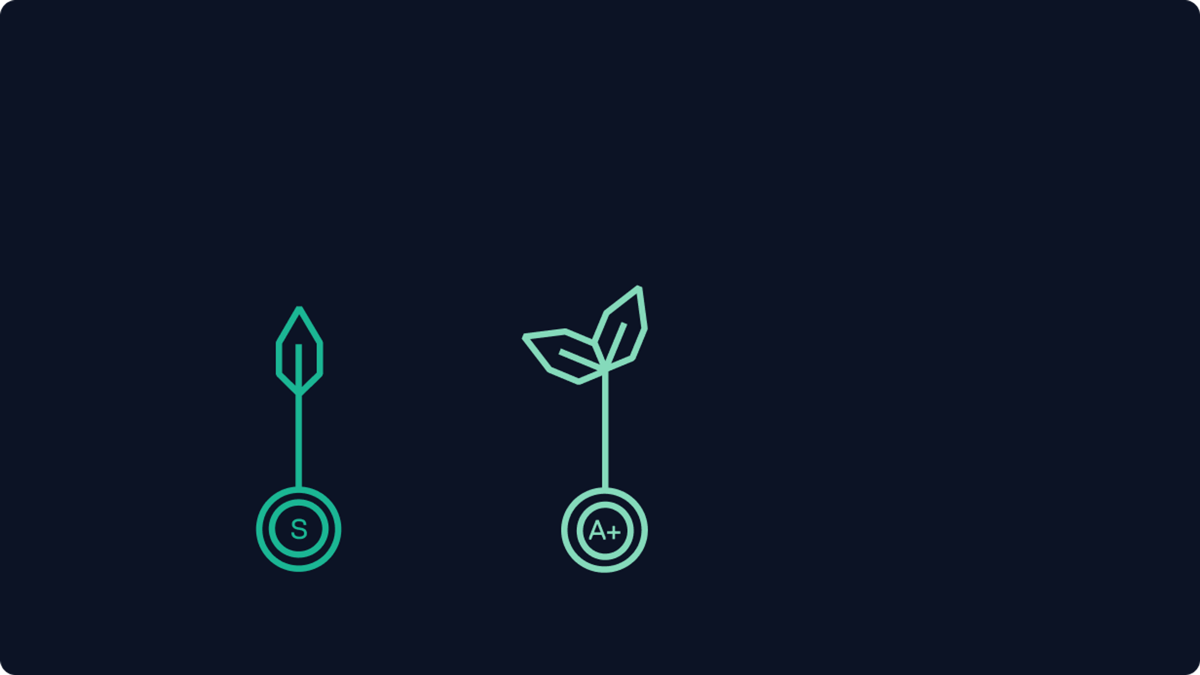 Small seedlings