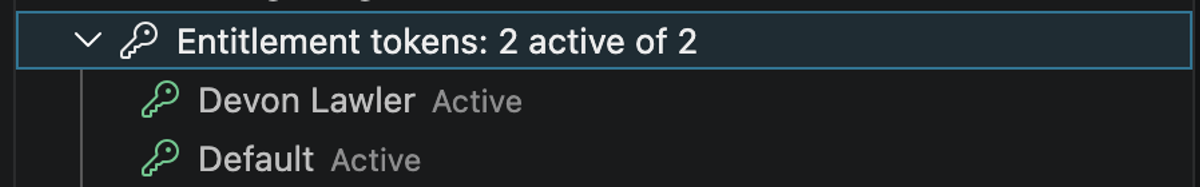 Cloudsmith VS Code editor entitlement tokens