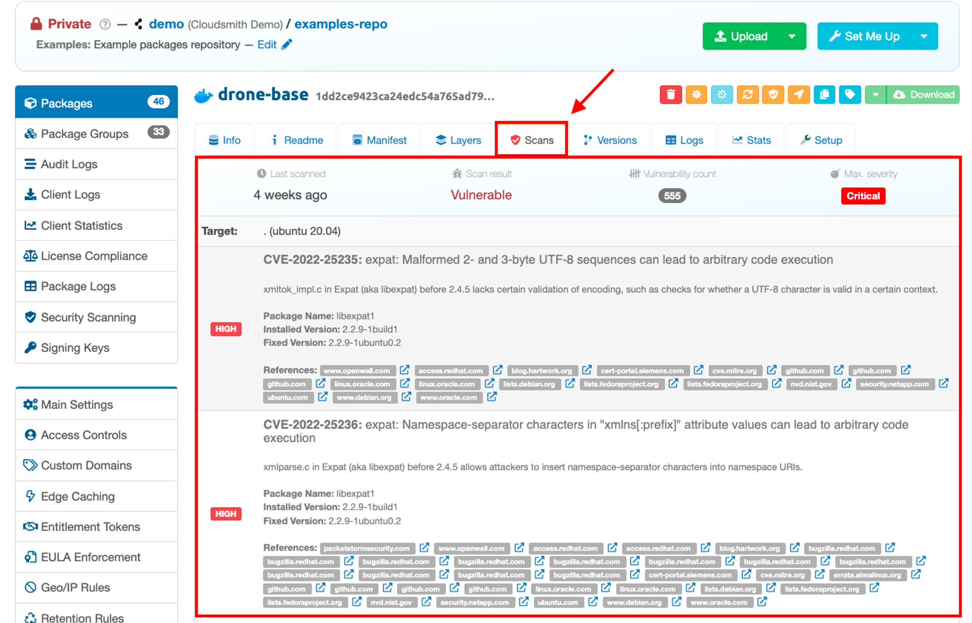 How to Manage Your Vulnerability Workflows with Cloudsmith