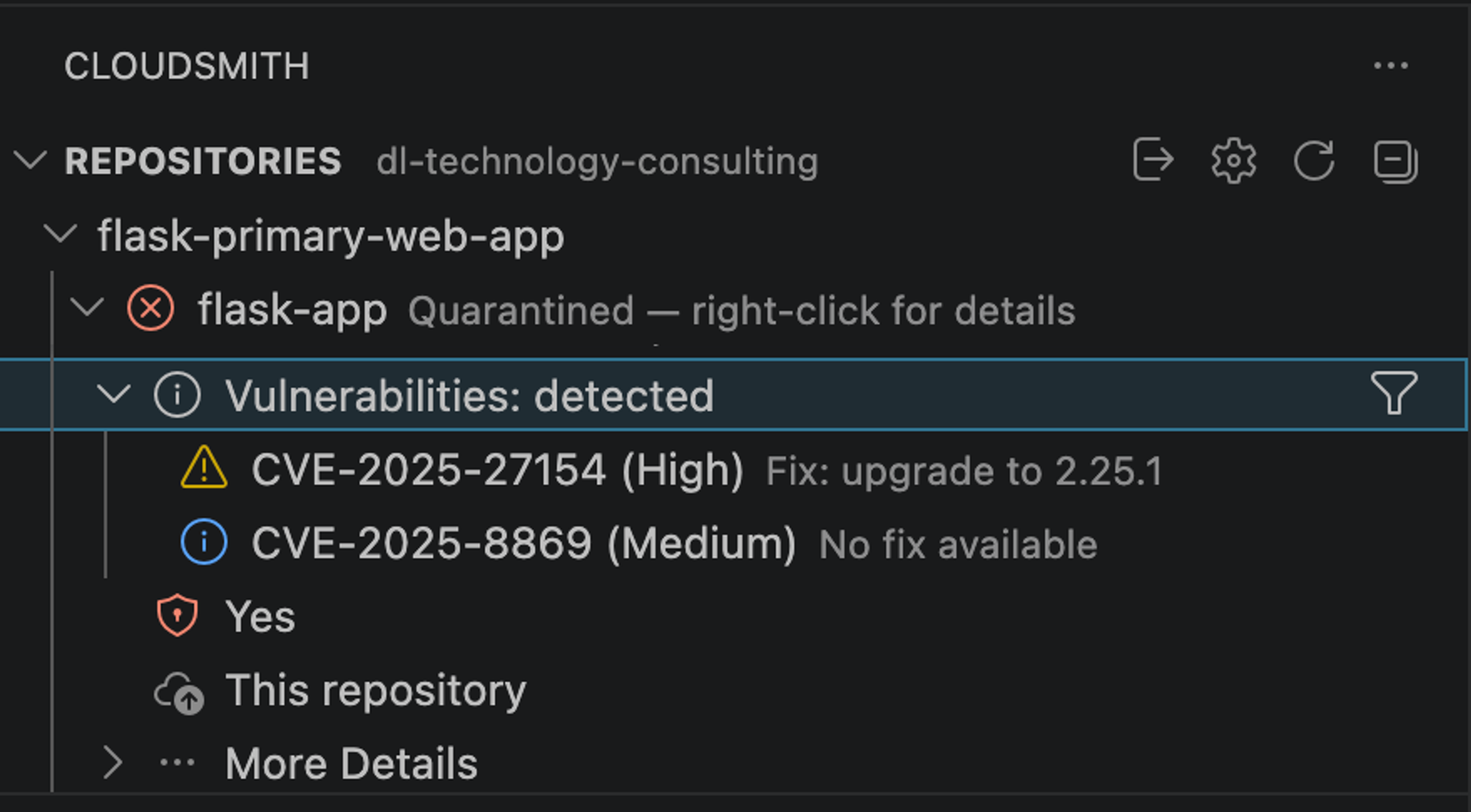 Cloudsmith VS Code editor remediation