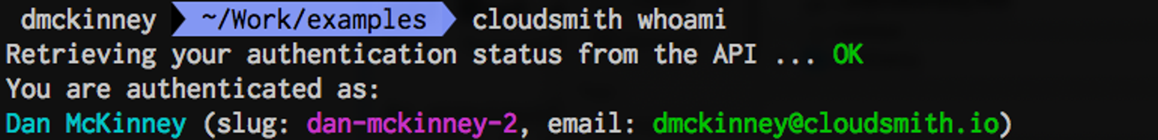 cloudsmith whoami command