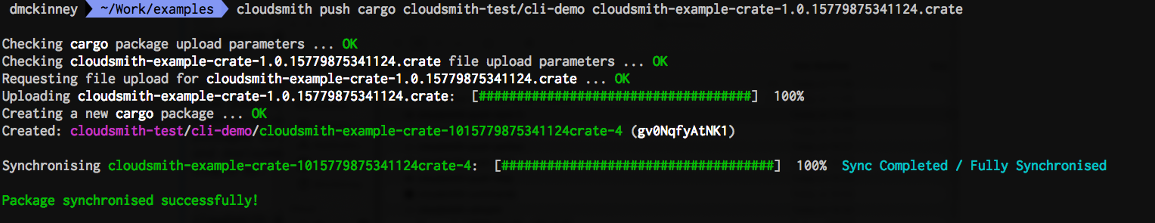 cloudsmith push cargo