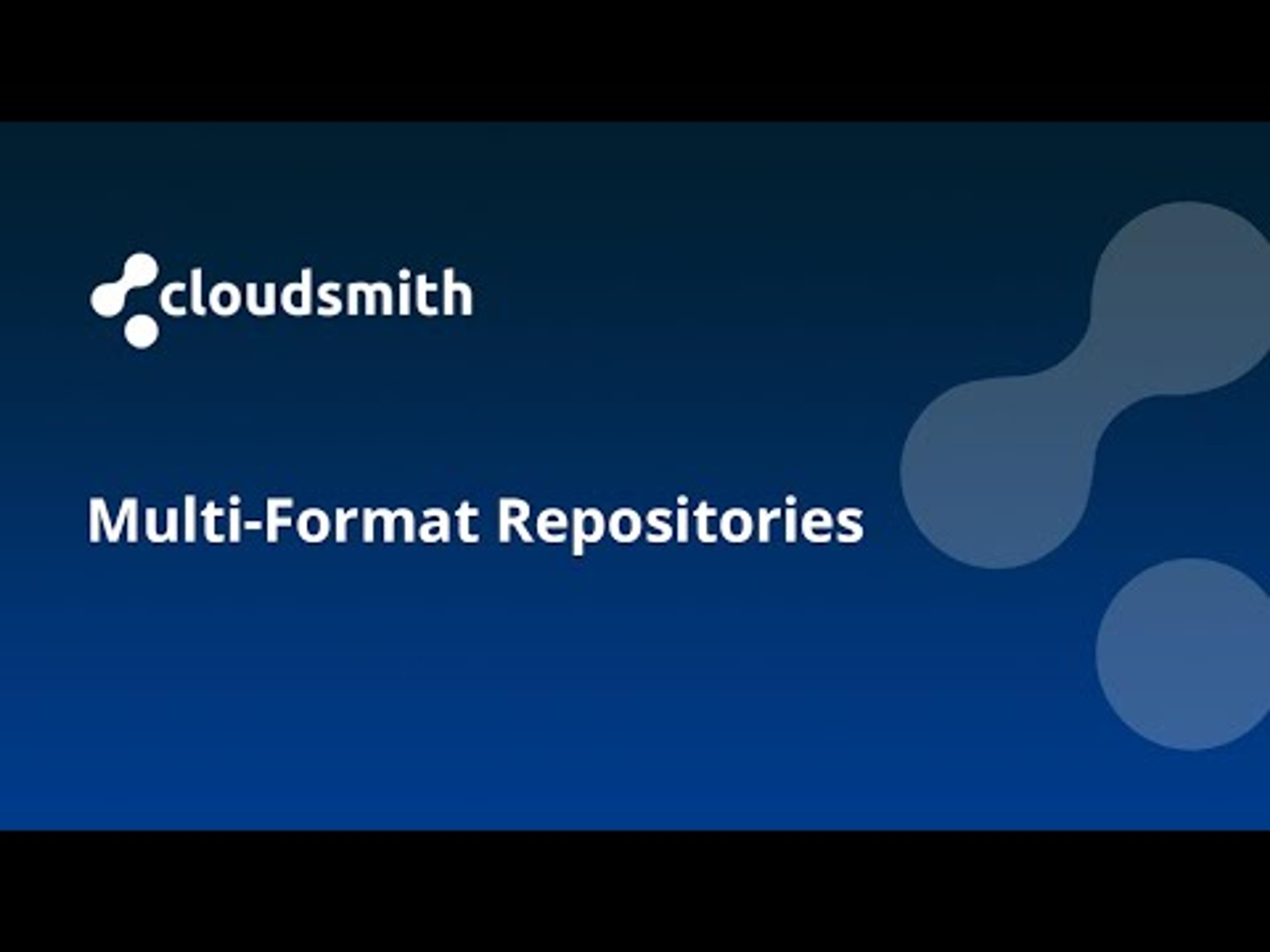Multi Format Repositories