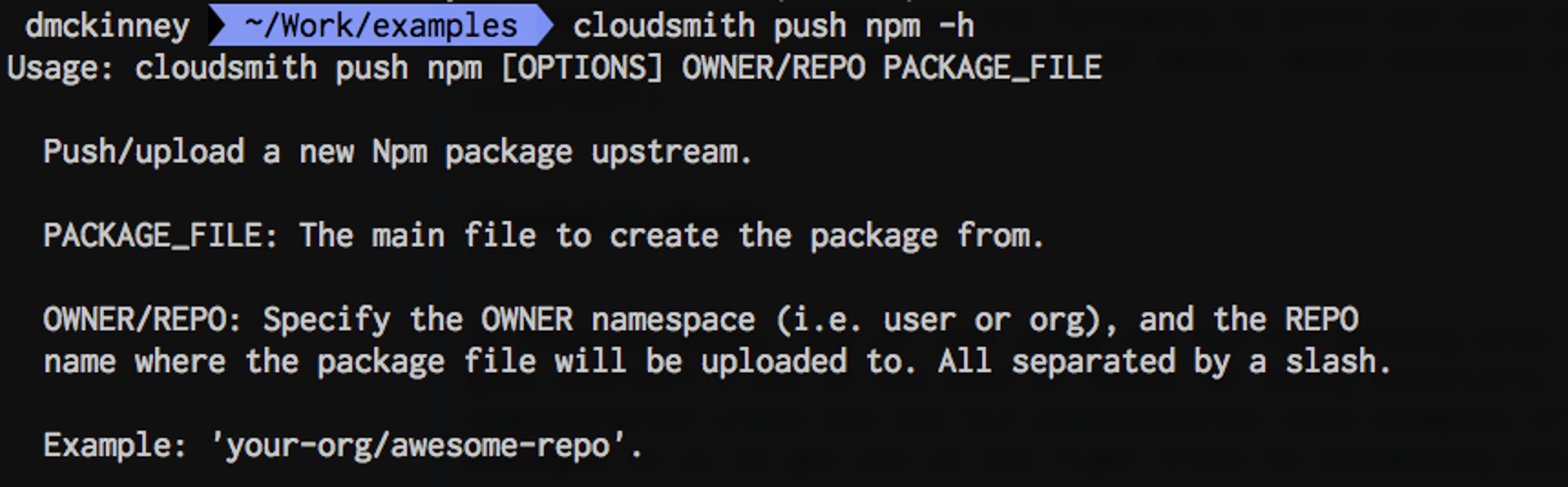 cloudsmith push npm -h
