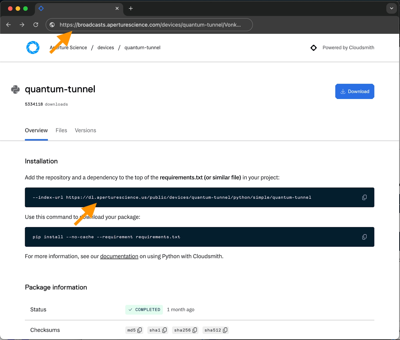 Broadcast user facing page, where the custom Broadcast URL and the custom download endpoint are visible