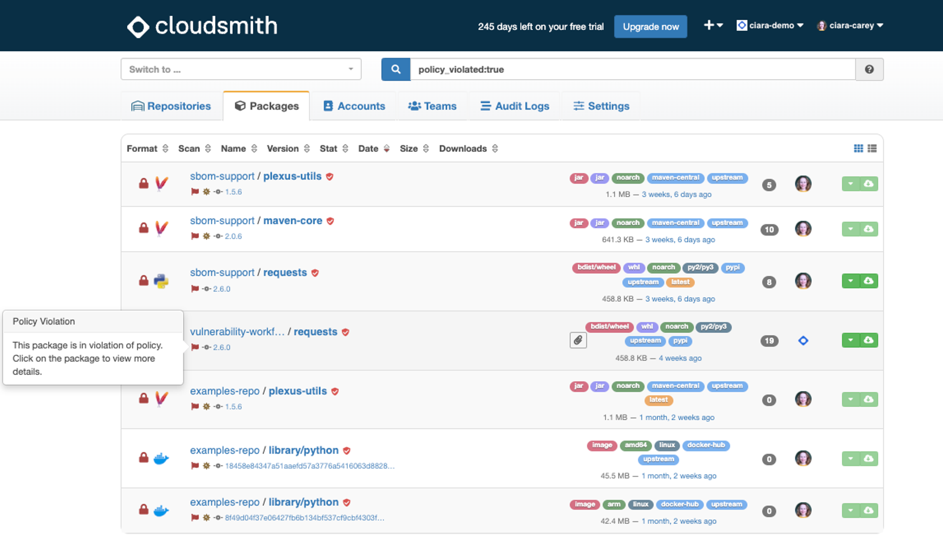 Using Cloudsmith as a Dependency Firewall