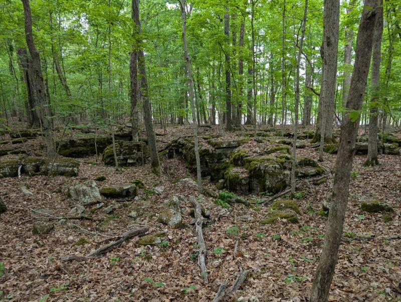 Rocks