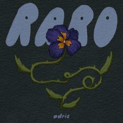 Portada de «Raro»