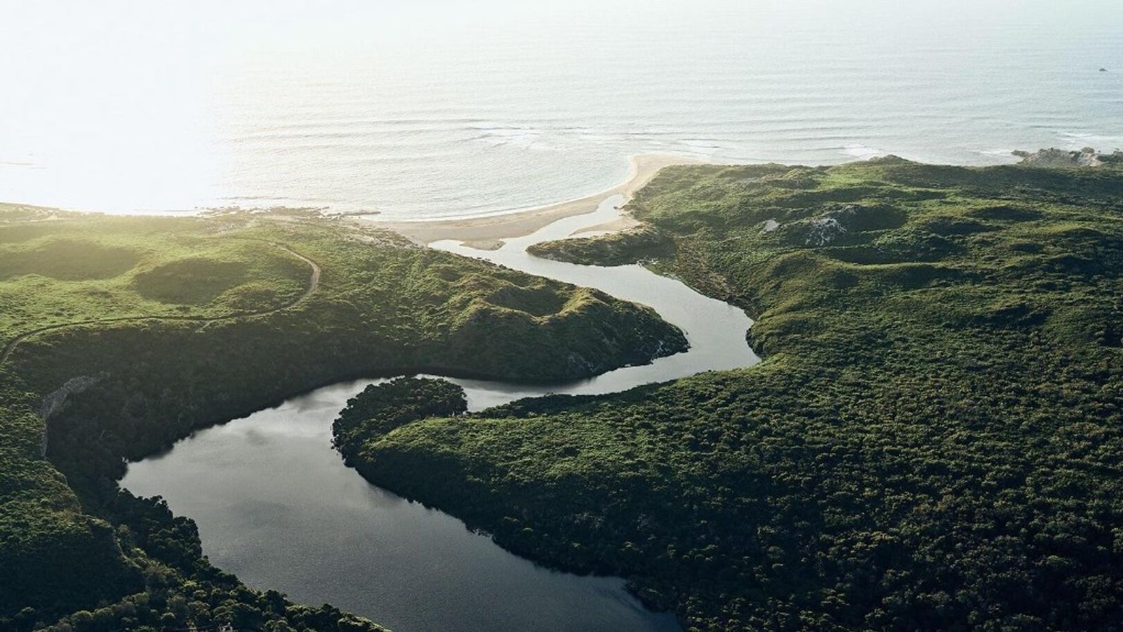 Aerial view of a winding river flowing through forest toward the ocean, symbolizing the journey from work to collected cash
