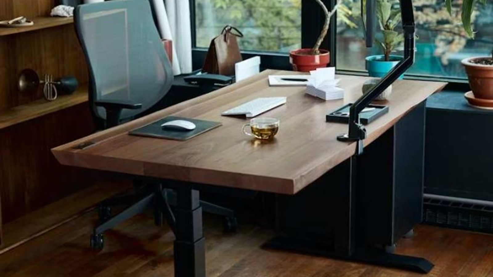 Modern home office with a wooden sit-stand desk, monitor, and plants by a bright window