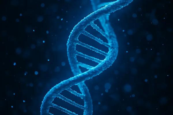 Despre ADN – întrebări și răspunsuri despre codul vieții