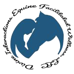 Divine Interactions Equine Facilitated Wellness, LLC.