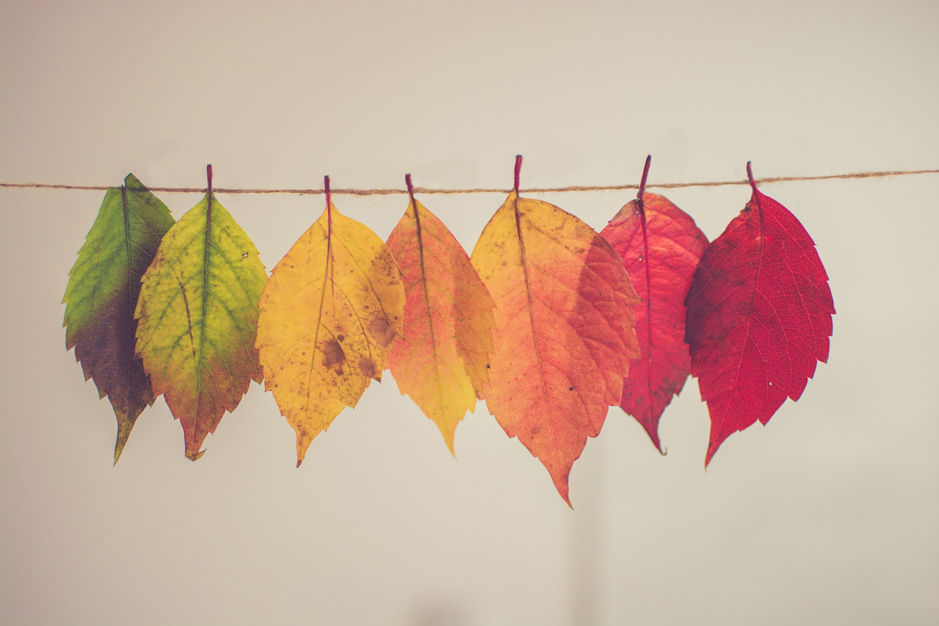 Top 3 Barriers for Non-Profit EDs