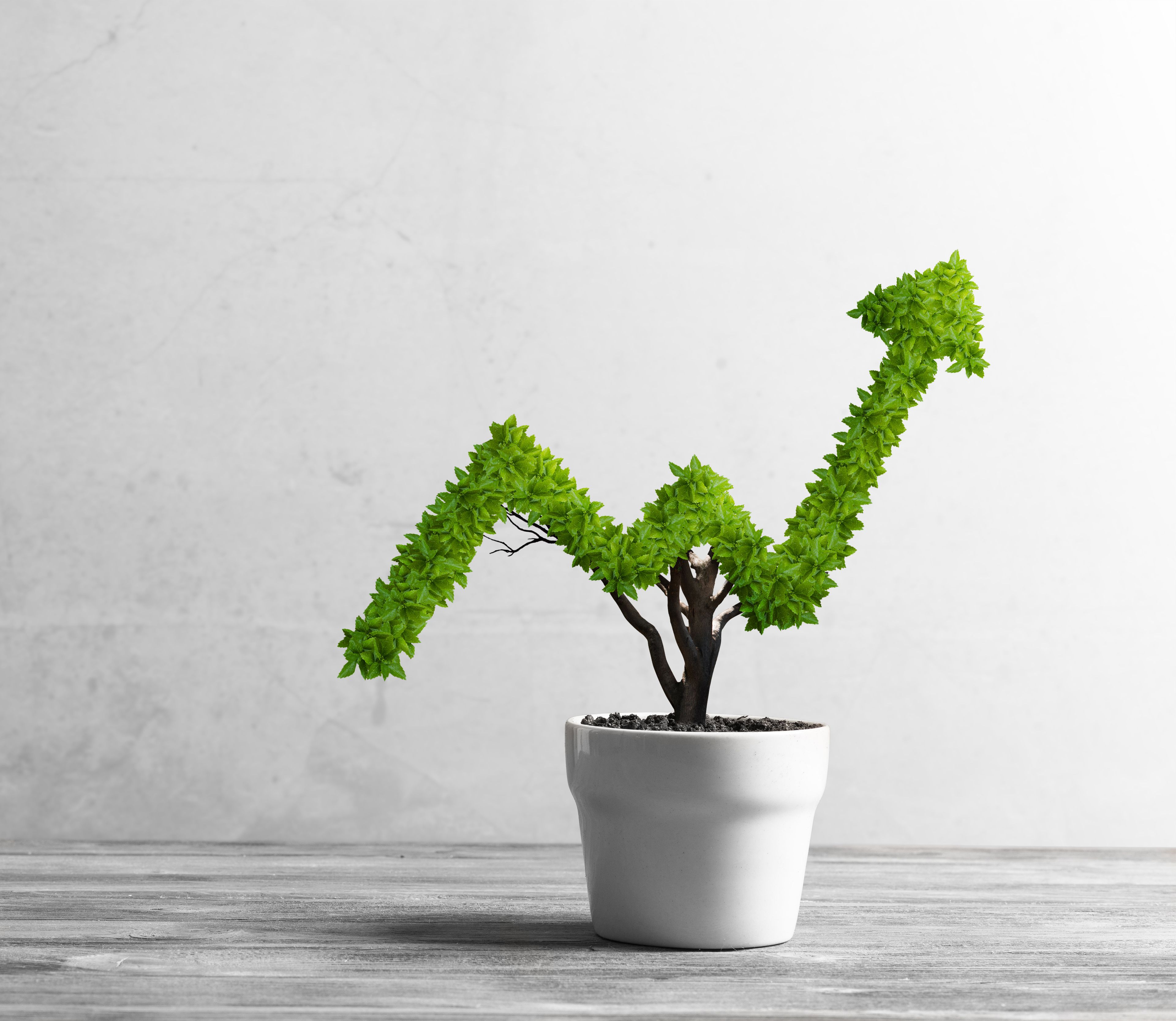 How Quick Loading Websites Win in Google Rankings