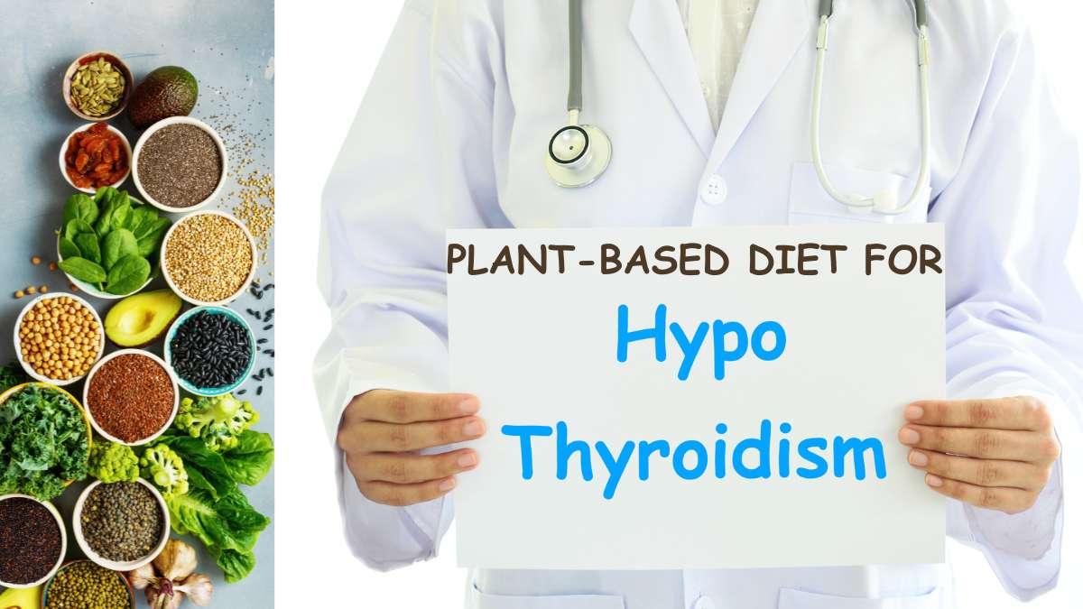 Vegan Plant-Based Protein Products - Only What you Need - OWYN