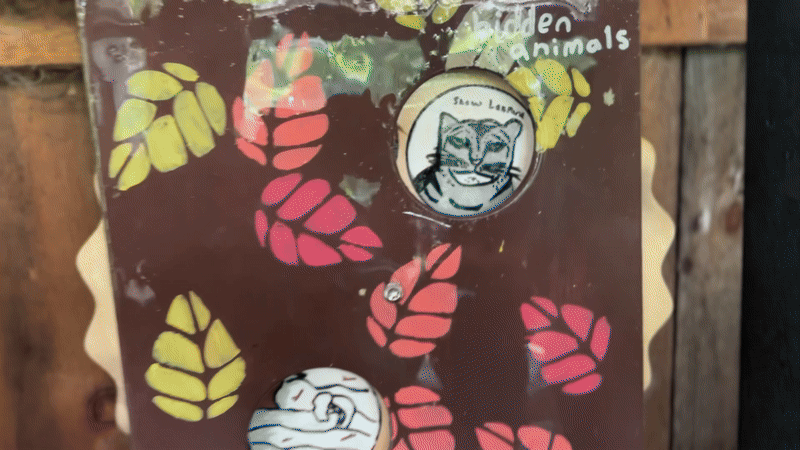 Spinning the wheel to reveal the answer