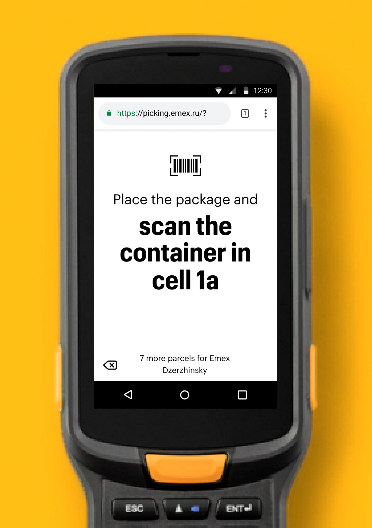 Scanning a parcel in the Emex design system 4