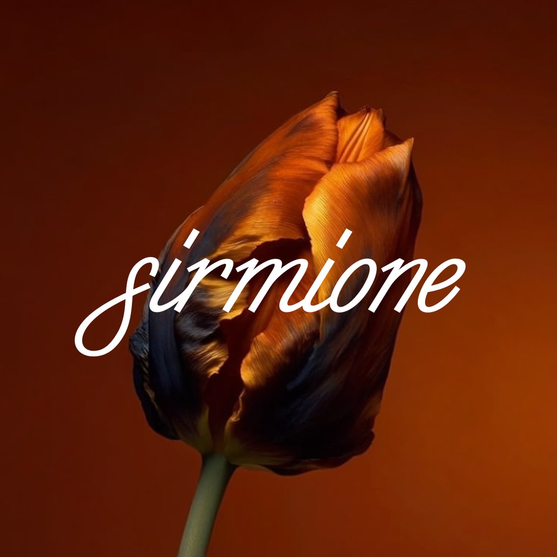 Sirmione — floristry academy branding