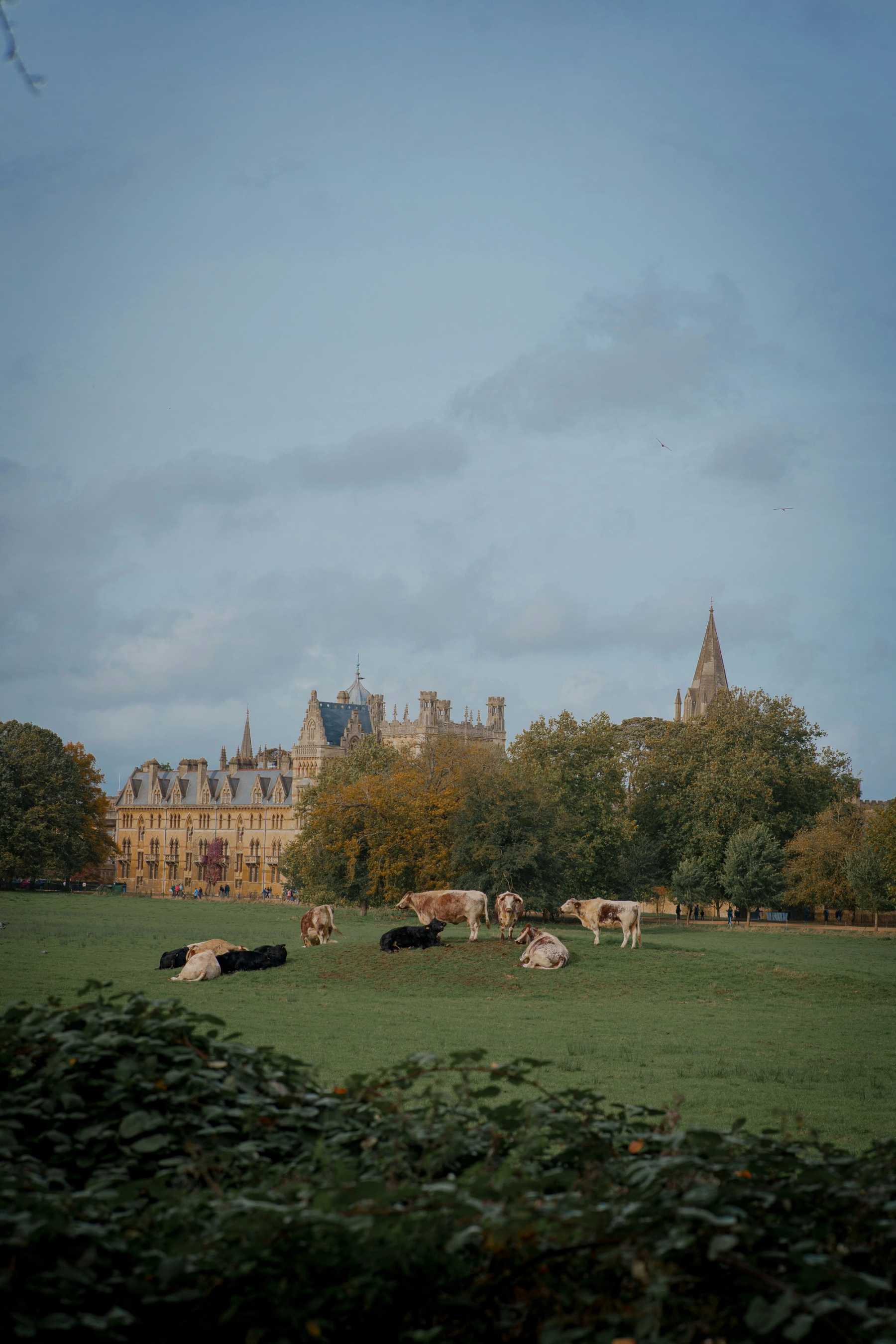 Oxfordshire