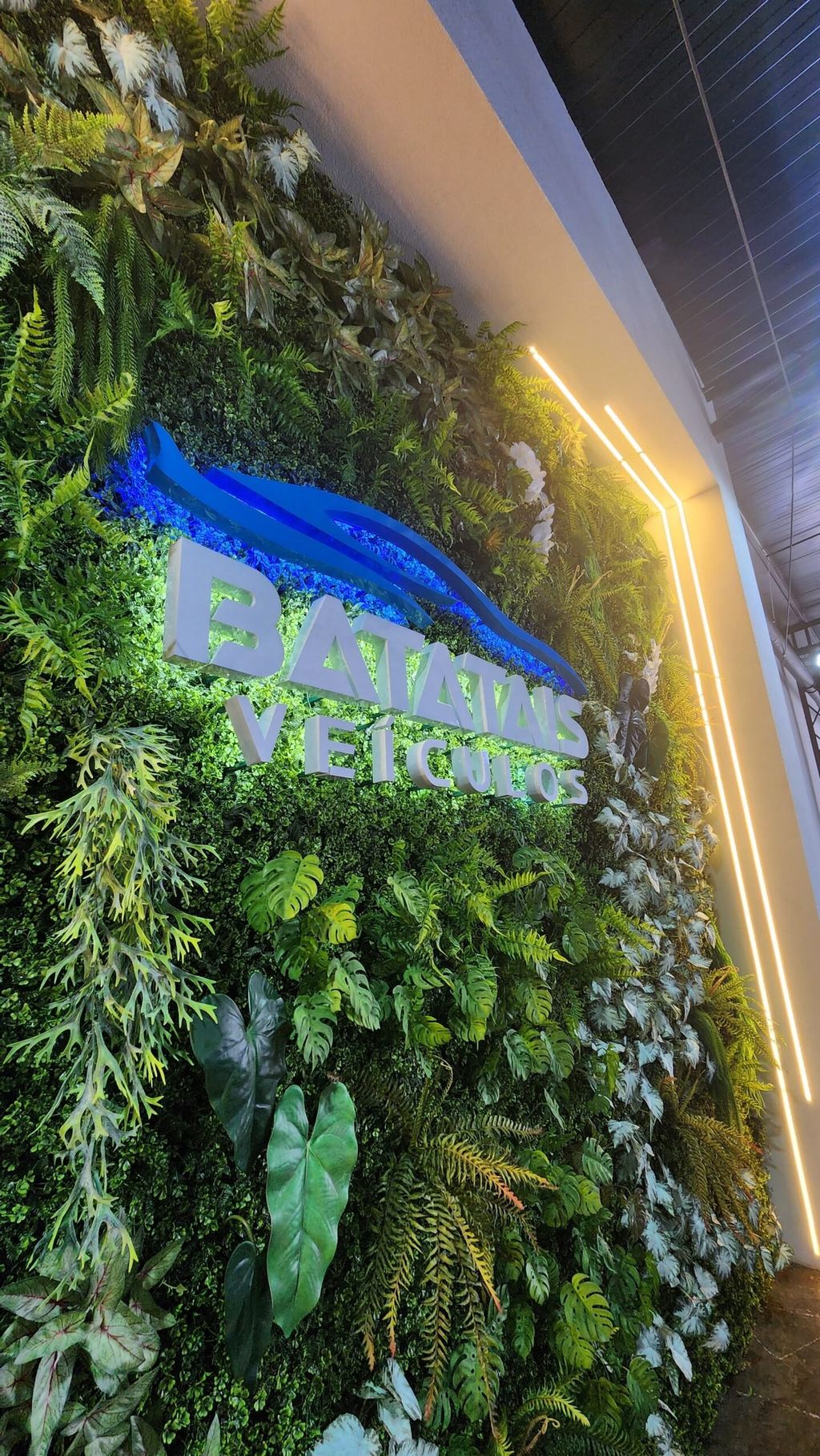 Vista lateral do painel verde, com o letreiro da Batatais Veículos em relevo