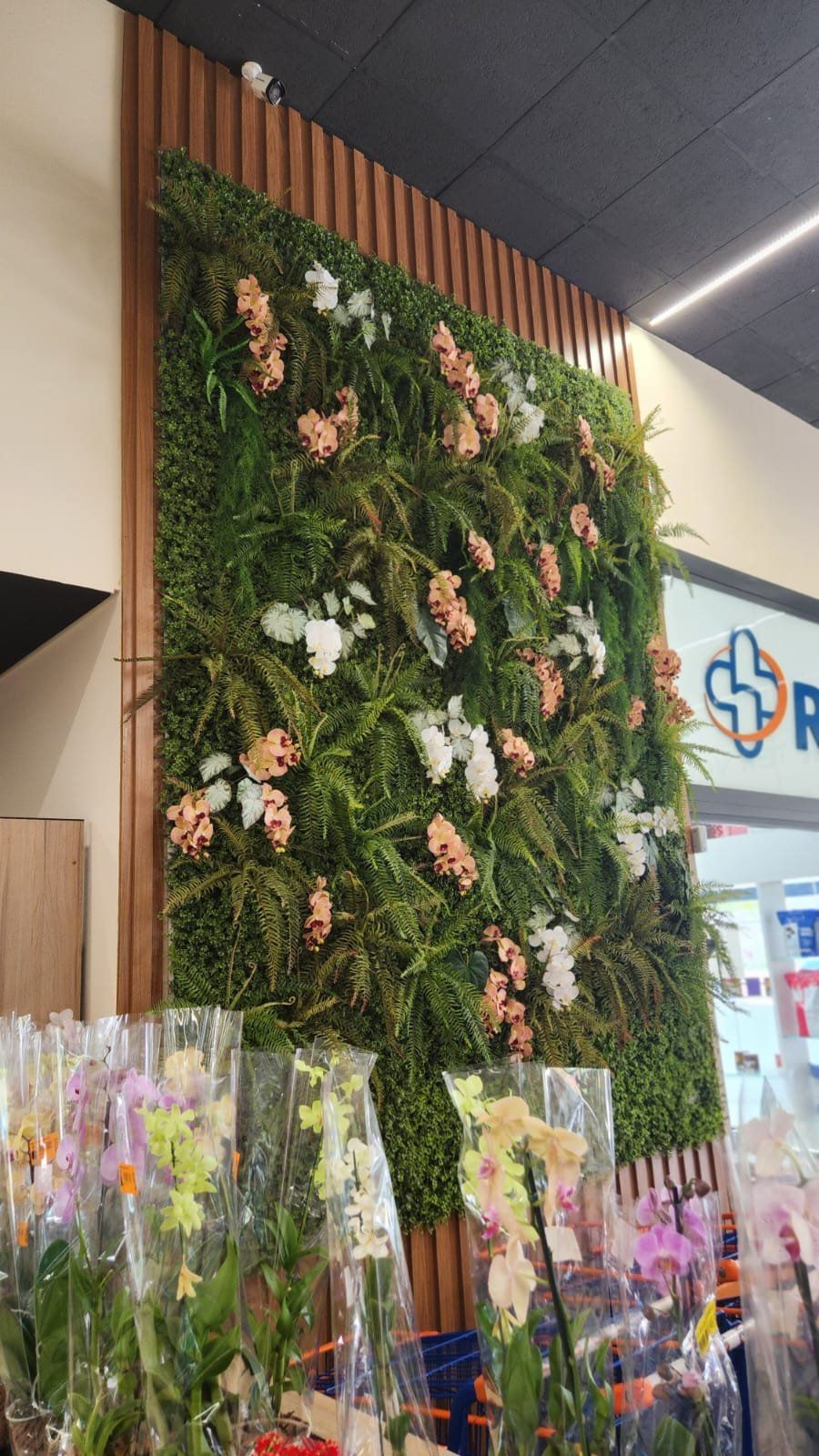 Jardim vertical com orquídeas ao lado da área de flores do supermercado