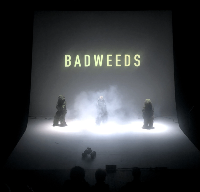 Bad weeds