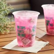 Custom Large Biodegradable Cold Cups image 1