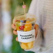 Custom Large Biodegradable Cold Cups image 4