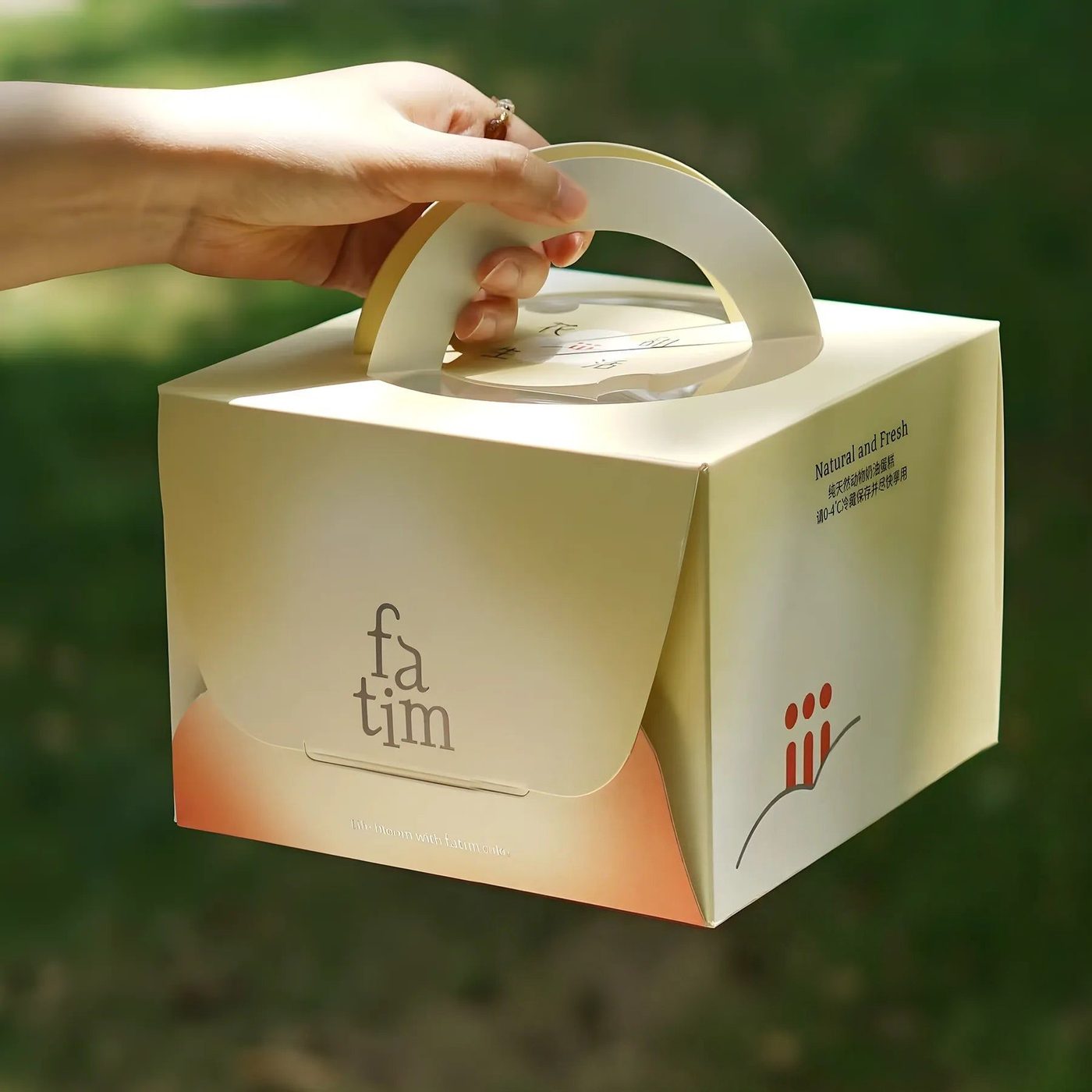 Custom Window Cake Boxes with Handle image 1
