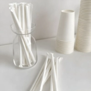 PLA Biodegradable Straws Wholesale image 1