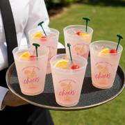 Custom Reusable Frosted Stadium Cups for Parties & Events & Wedding Cup image 2