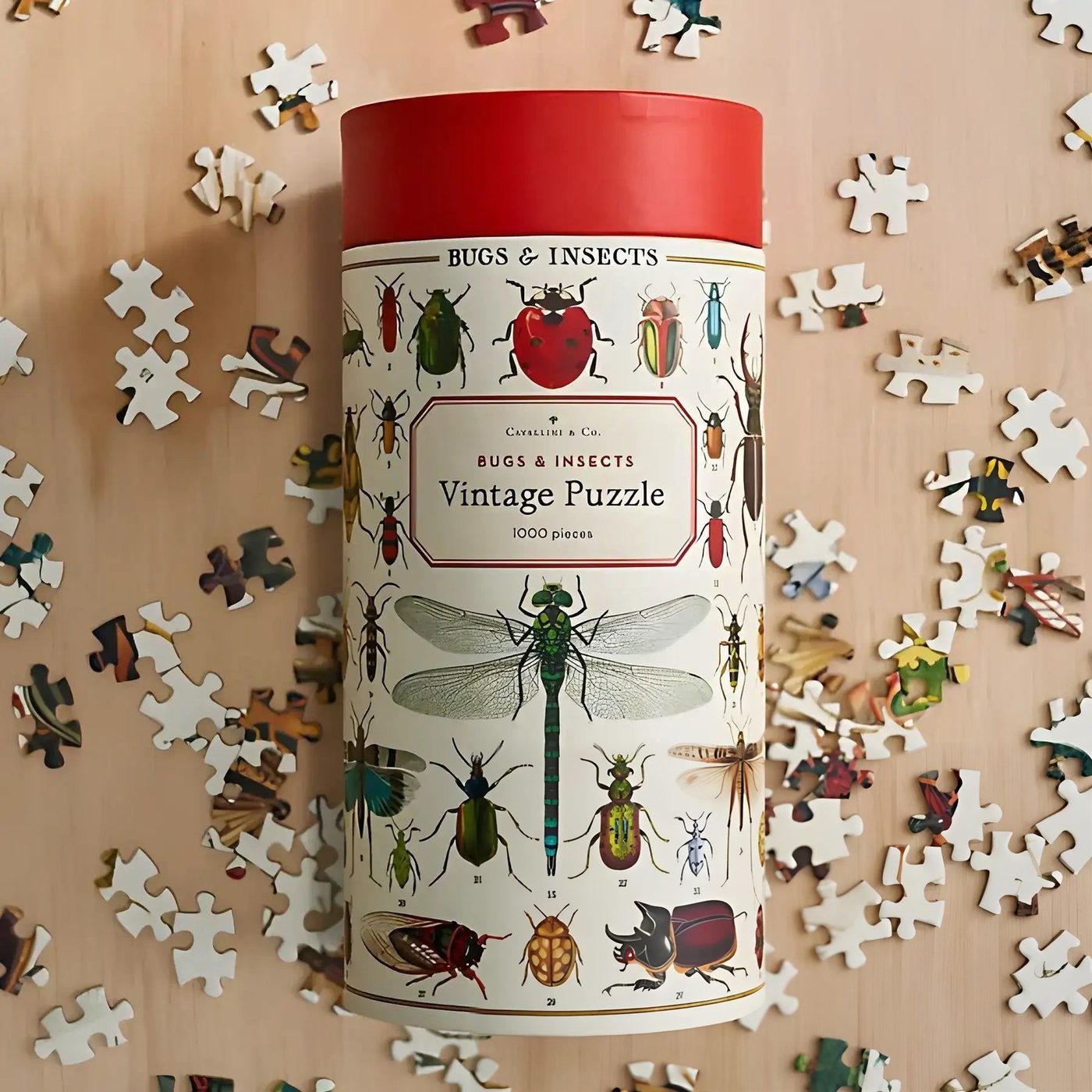 Eco-Friendly Puzzle Packaging Tubes image 1
