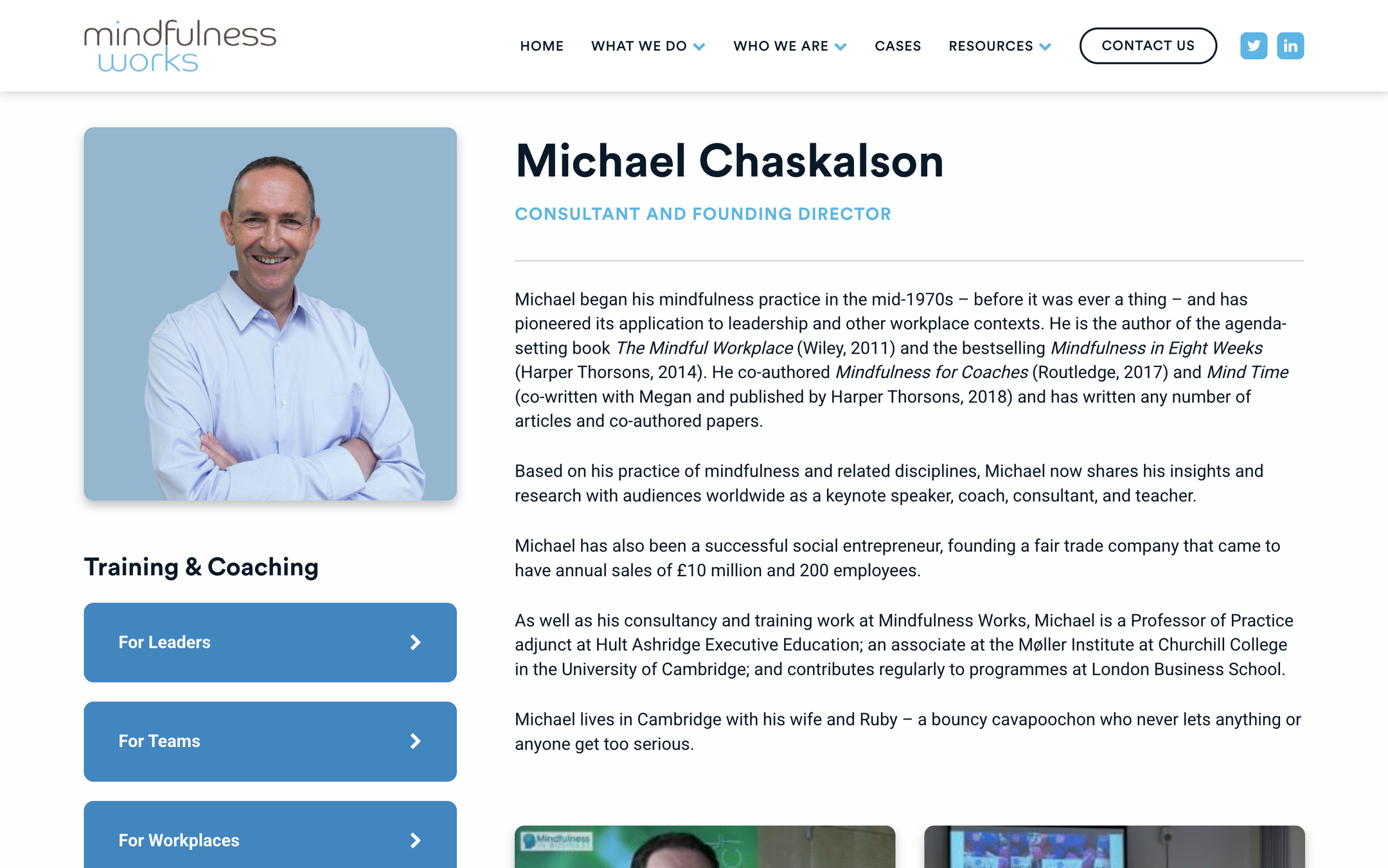 Founder Michael Chaskalson’s profile with portrait and bio