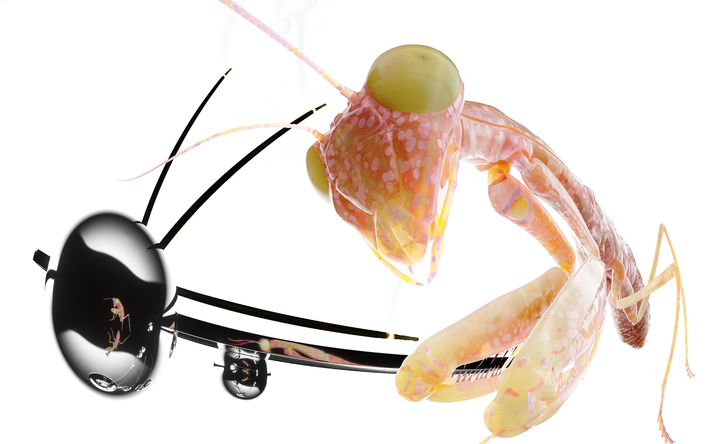 OEM + Charlap Hyman & Herrero Incense Holder