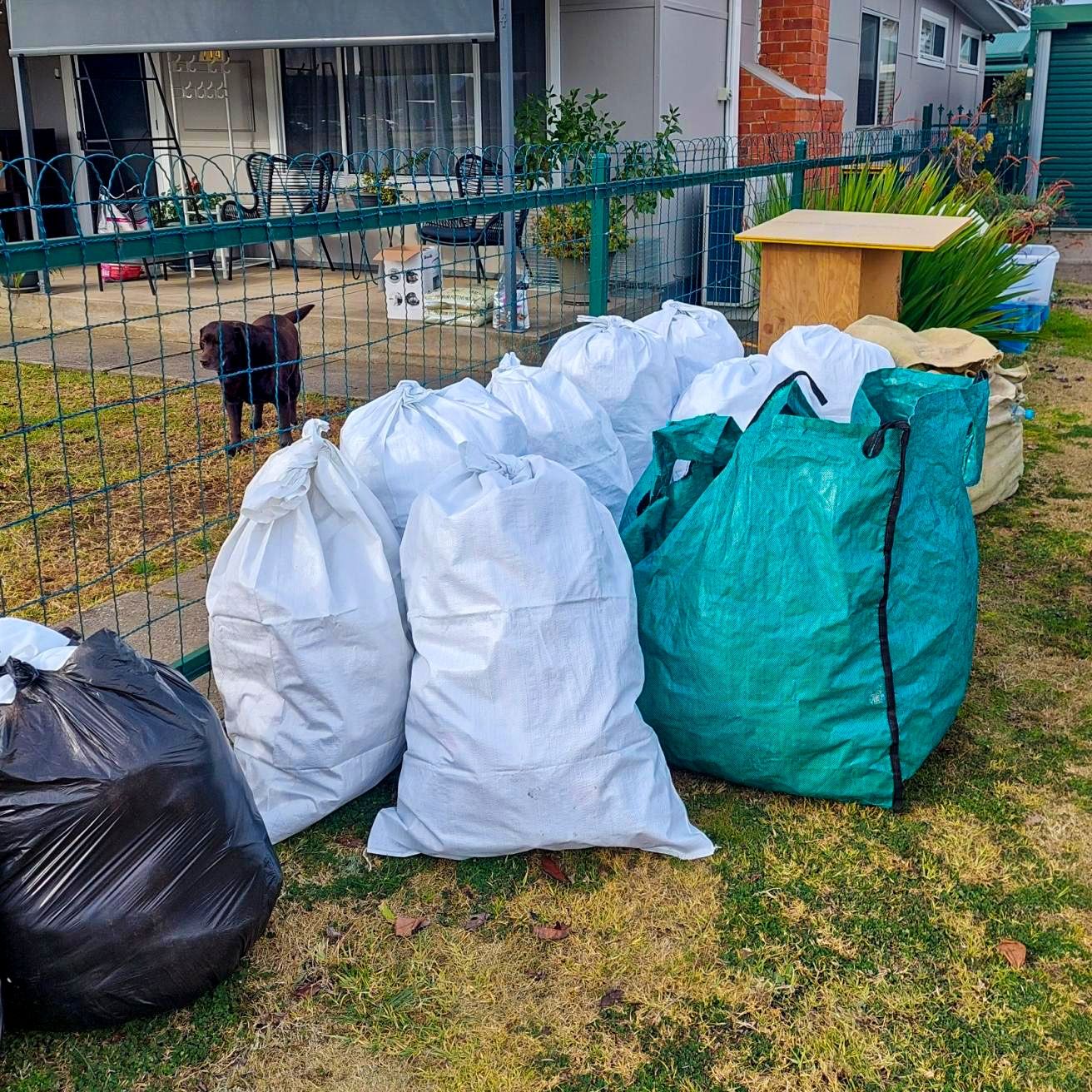 Billabong Recycling helps local pets, and local community