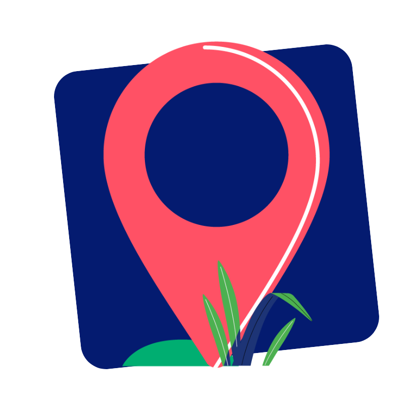 Pin icon