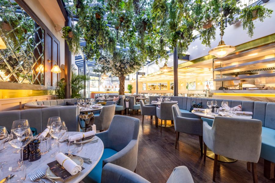 Piccolino Wilmslow