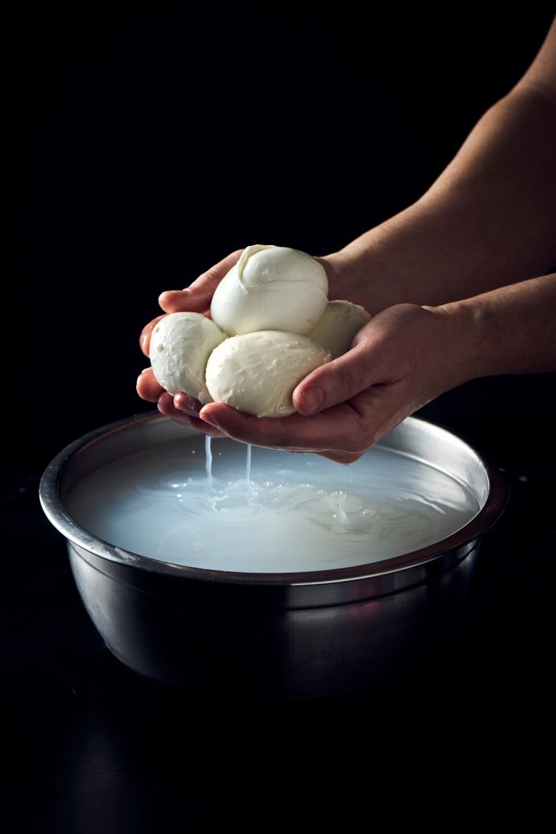 Fior di Latte Mozzarella