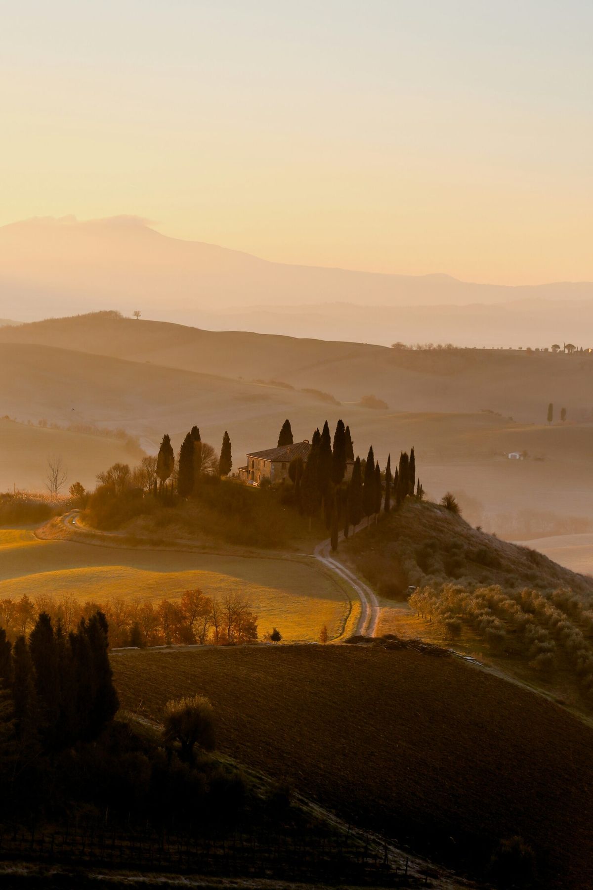 Rolling Tuscan countryside at sunrise