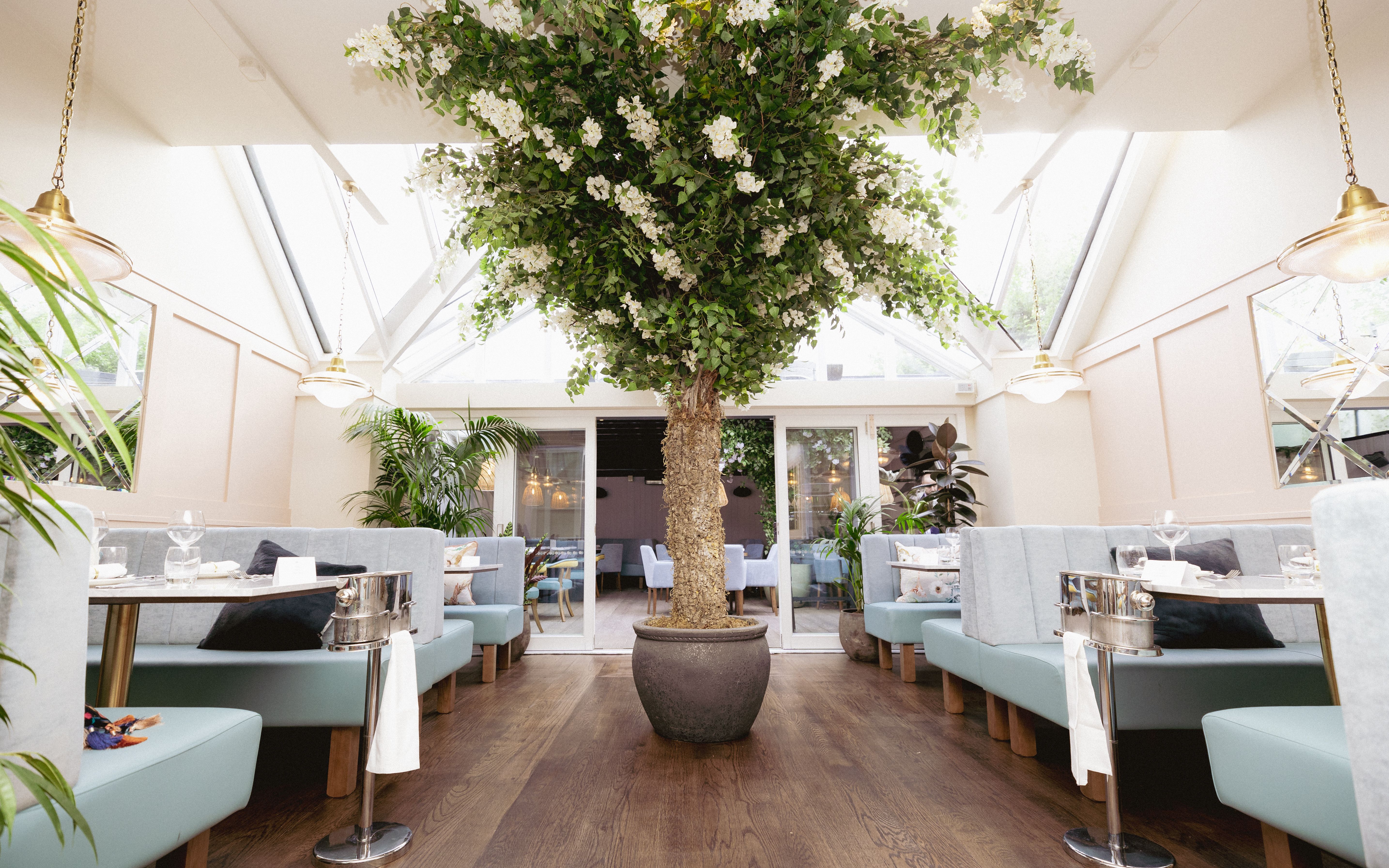 Inside Piccolino Marlow