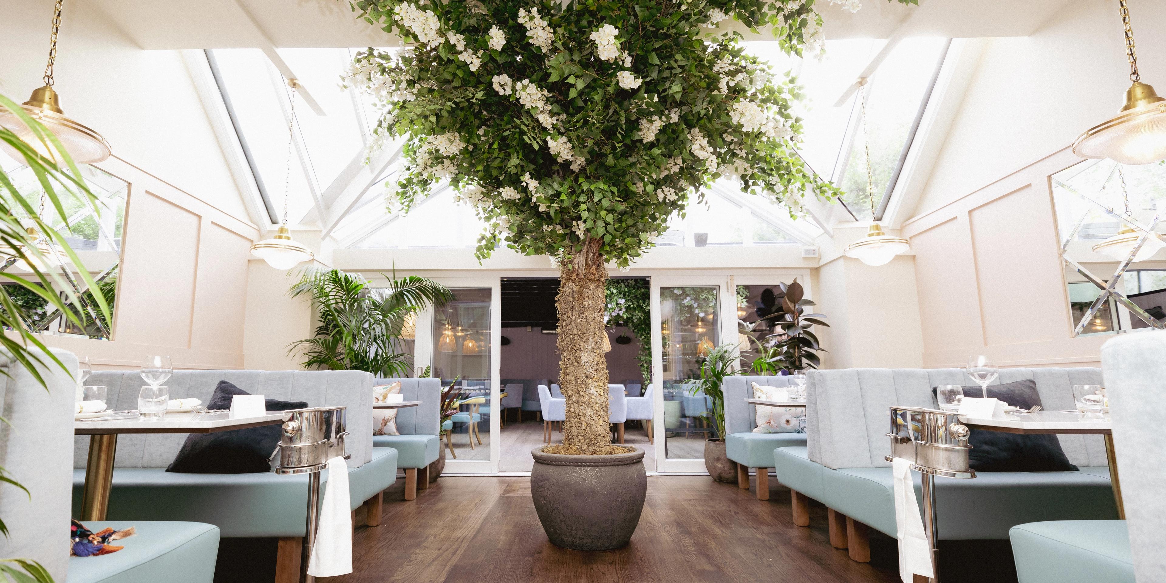 Inside Piccolino Marlow